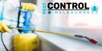 Spider Control Melbourne image 6